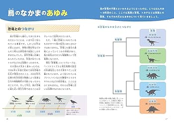 鳥のなかま＆分類・系統図鑑 | 小宮輝之, ポンプラボ |本 | 通販